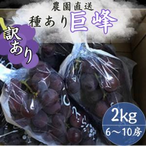 【訳あり】巨峰(種あり) 約2kg(6～10房)