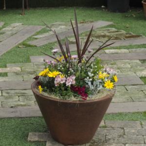 ふるさと納税 朝倉市 ビッグサイズ 季節のお花...の詳細画像1