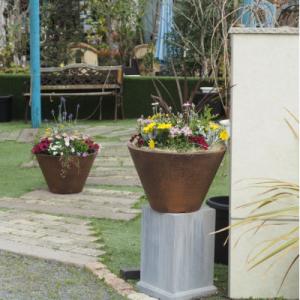 ふるさと納税 朝倉市 ビッグサイズ 季節のお花...の詳細画像2