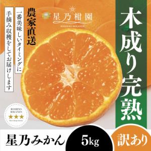 【訳あり】星乃みかん園の星乃みかん(5kg)【A45-98】