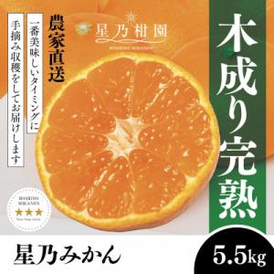 【三つ星ブランド】星乃みかん(5.5kg)【C45-99】