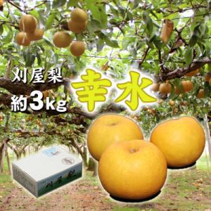 酒田刈屋梨　甘くジューシーな幸水　約3kg