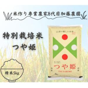 農家直送　特別栽培米つや姫5kg　精米