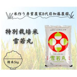 【令和8年産米】農家直送　特別栽培米雪若丸5kg　精米