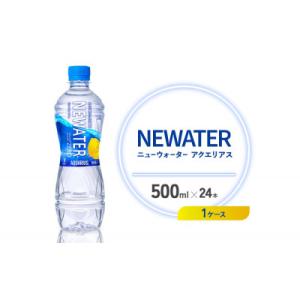 ふるさと納税 えびの市 アクエリアス ニューウォ...の商品画像
