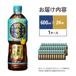 ふるさと納税 えびの市 やかんの濃麦茶 fro...の詳細画像1