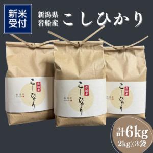 【新米受付・令和8年産米】新潟県村上市　岩船産コシヒカリ精米6kg(2kg×3袋)1103001N