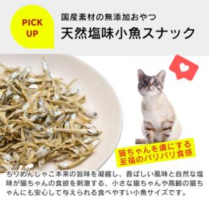 ふるさと納税 久留米市 くいしんぼ 猫用ちりめ...の詳細画像2