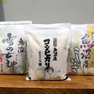 ふるさと納税 新潟県 [令和7年産][魚沼産米]こだわりの3品種食べ比べセット 6kg(2kg×3品種)