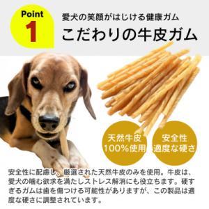 ふるさと納税 久留米市 くいしんぼ デンタルガ...の詳細画像1
