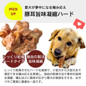 ふるさと納税 久留米市 プレミアム長持ちおやつ...の詳細画像2