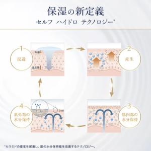 ふるさと納税 茨城県 エスティ ローダー アク...の詳細画像3