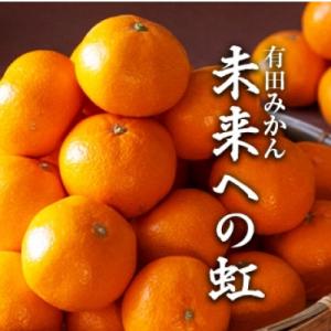 有田みかん「未来への虹」約5kg(藤田農園)