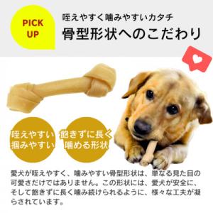 ふるさと納税 久留米市 くいしんぼ デンタルガ...の詳細画像1