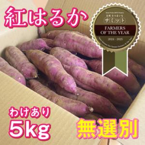 【期間限定】【訳あり】さつま芋 紅はるか 約5kg 千葉県香取市産