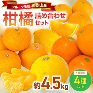 柑橘詰め合わせセット 家庭用4種以上 約4.5kg 和歌山産