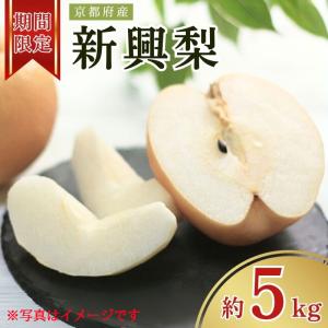 【先行予約・期間限定】2026年産 旬の新興梨 約5kg(6玉～14玉) 産地直送 果物 フルーツ