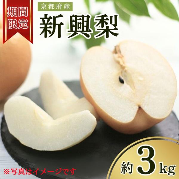 ふるさと納税 京都府 [先行予約・期間限定]2026年産 旬の新興梨 約3kg(5玉〜8玉) 産地直送 果物 秋のフルーツ