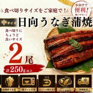 日向極みうなぎ蒲焼2尾(計250g以上)