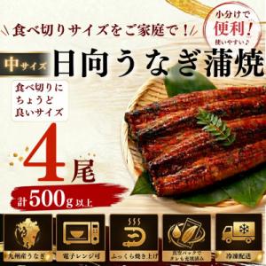 日向極みうなぎ蒲焼4尾(計500g以上)