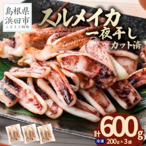 島根県産浜田市加工　食べ応え大満足のスルメイカ一夜干し(600g)【小分け個包装】