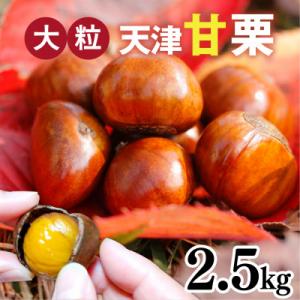 天津甘栗 2.5kg