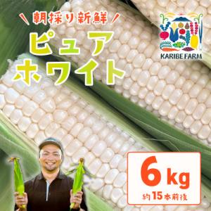 下妻産朝採りとうもろこし(ピュアホワイト)約6kg  約15本前後入り 27年6月下旬から7月発送