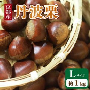 ふるさと納税 京都府 [先行予約・期間限定] 2026年産 京都府産 丹波栗 1kg Lサイズ