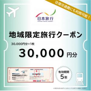 ふるさと納税 北海道 北海道　日本旅行　地域限定旅行クーポン　30,000円分