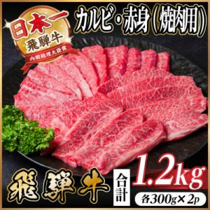 飛騨牛　厳選カルビ・赤身(焼肉・BBQ用)　計1.2kg(各600g)　黒毛和牛　小分け