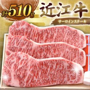 ふるさと納税 彦根市 千成亭 近江牛サーロインステーキ 計510g(170g×3枚) ソース付き
