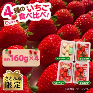 【さとふる限定】いちご4種とちおとめ,スカイベリー,ミルキーベリー,とちあいかのCセット各約160g