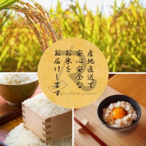 ふるさと納税 南丹市 令和7年産 にじのきらめ...の詳細画像2