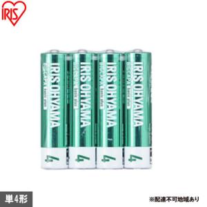 ふるさと納税 大河原町 BIGCAPA basic plus アルカリ乾電池 単4形4本パック [5...