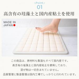 ふるさと納税 茨木市 PUREREFRE 吸水...の詳細画像1