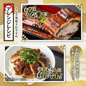 ふるさと納税 東串良町 【緊急支援品】《訳あり...の詳細画像2