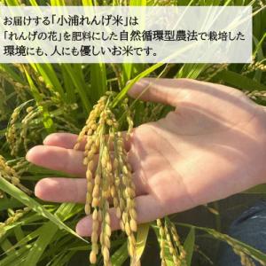 ふるさと納税 日高町 令和8年産(2026年産...の詳細画像2