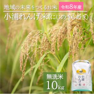ふるさと納税 日高町 令和8年産(2026年産) 新米!小浦れんげ米(にじのきらめき)【無洗米】 10kg