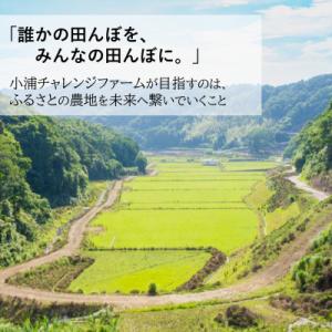 ふるさと納税 日高町 令和8年産(2026年産...の詳細画像1