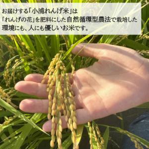 ふるさと納税 日高町 令和8年産(2026年産...の詳細画像2