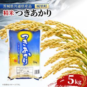 【令和7年産】つきあかり 5kg 精米 清らかな水田 の 米 (茨城県共通返礼品/城里町)