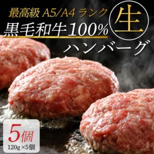 ふるさと納税3.0対象 高級A5/A4等級 黒毛和牛100%使用!手作りハンバーグ(120g×5個)