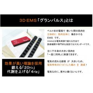 ふるさと納税 日野市 3D EMS「グランパル...の詳細画像1