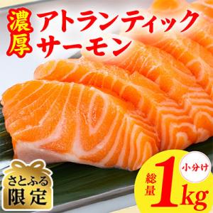 ふるさと納税 泉佐野市 【さとふる限定】濃厚アトランティックサーモン1kg刺身用 冷凍 G3528