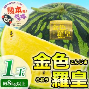 【先行予約】 TVで紹介 高糖度の金色すいか! 金色羅王 3L以上 1玉 約8kg(玉名市)