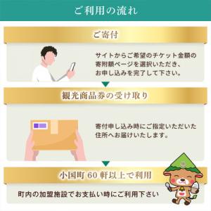 ふるさと納税 小国町 小国町観光商品券10万円...の詳細画像3