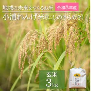 ふるさと納税 日高町 令和8年産(2026年産)新米!小浦れんげ米(にじのきらめき)【玄米】3kg