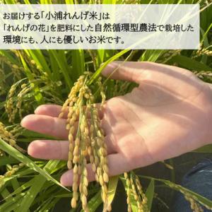ふるさと納税 日高町 令和8年産(2026年産...の詳細画像1