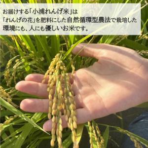 ふるさと納税 日高町 令和8年産(2026年産...の詳細画像2