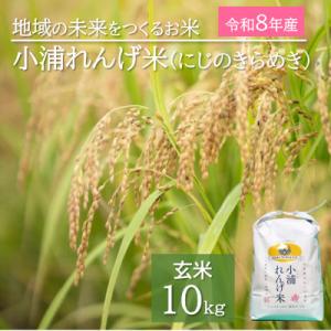ふるさと納税 日高町 令和8年産(2026年産)新米!小浦れんげ米(にじのきらめき)【玄米】10kg